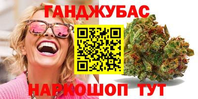 амф Кингисепп