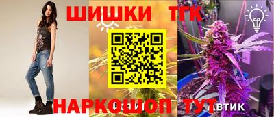 амф Кингисепп