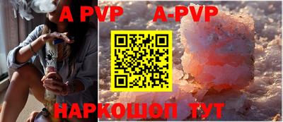 амф Кингисепп